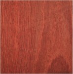Jarrah