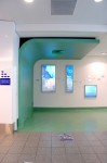 X Board Curve Wall